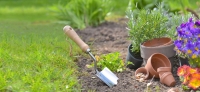 10 tips om een kleine tuin in te richten